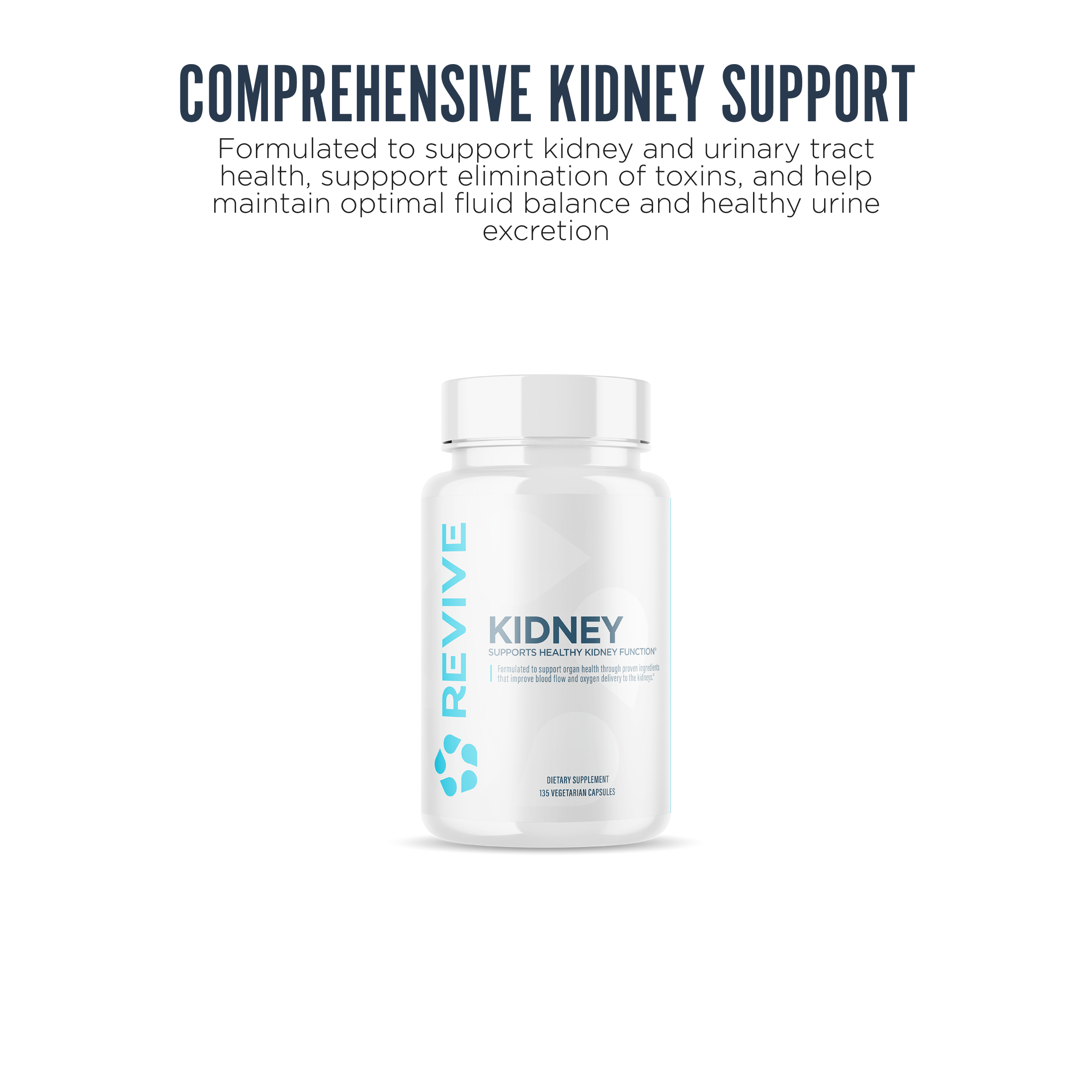 Kidney - Imagen 3