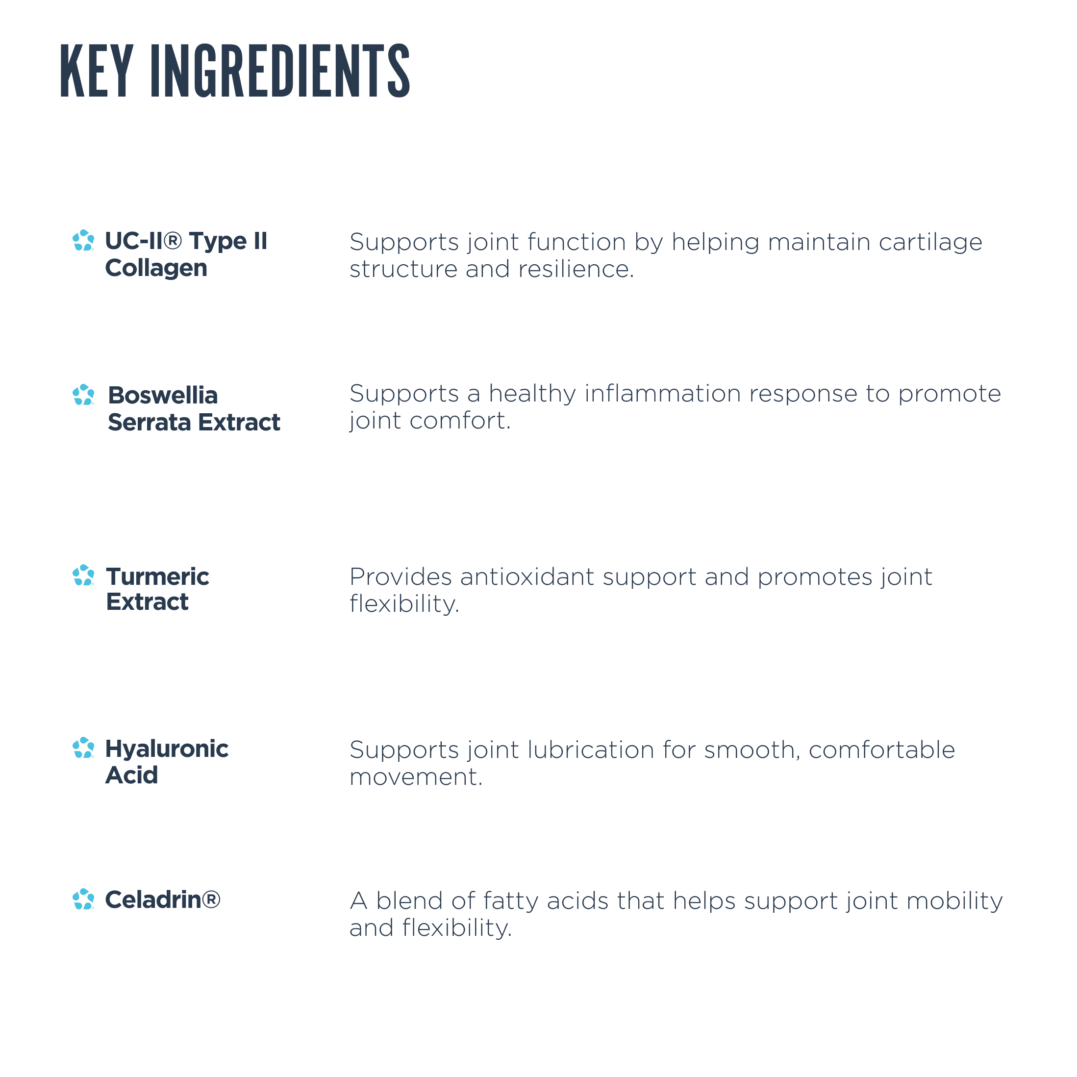 Joint Support - Imagen 4