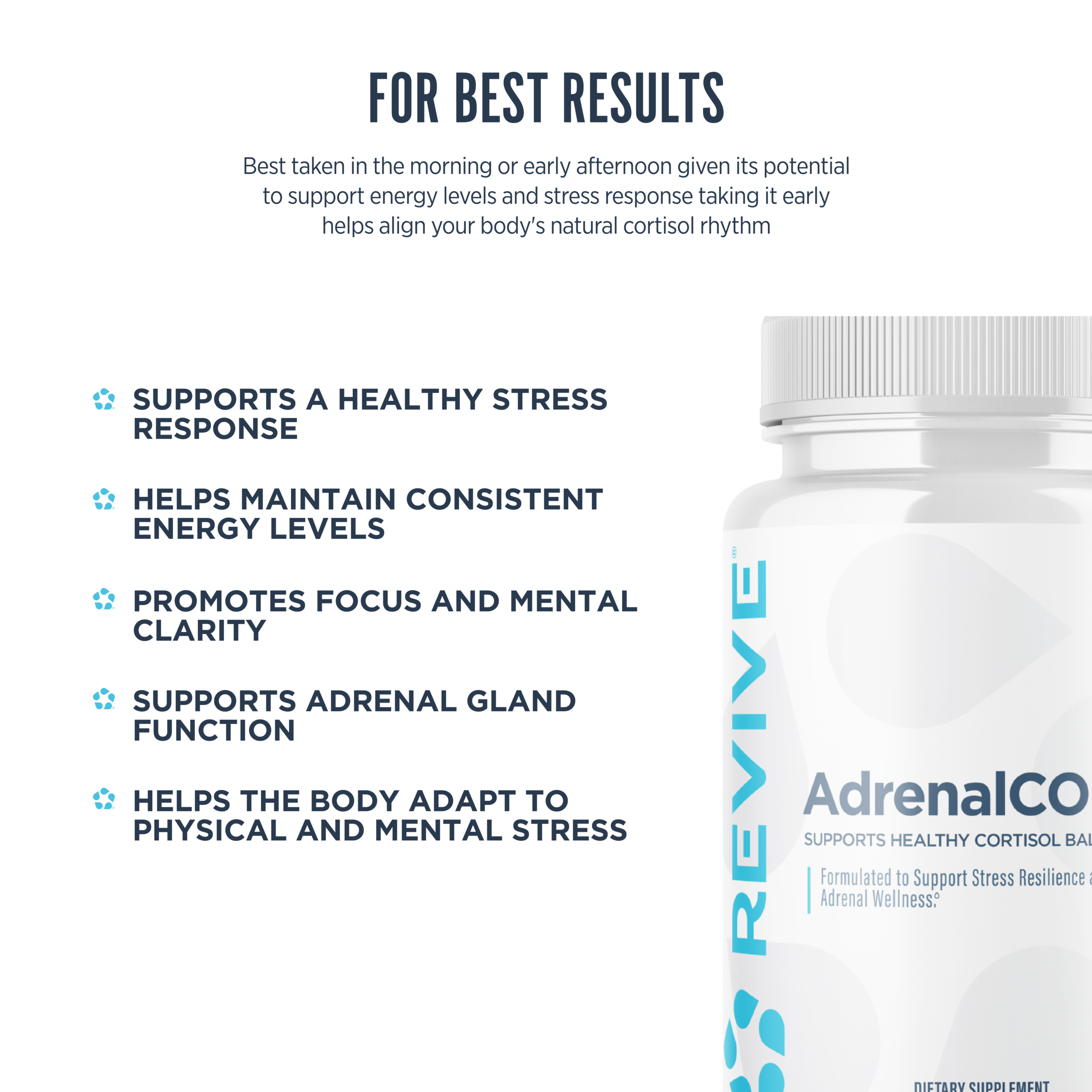 AdrenalCORE - Imagen 6