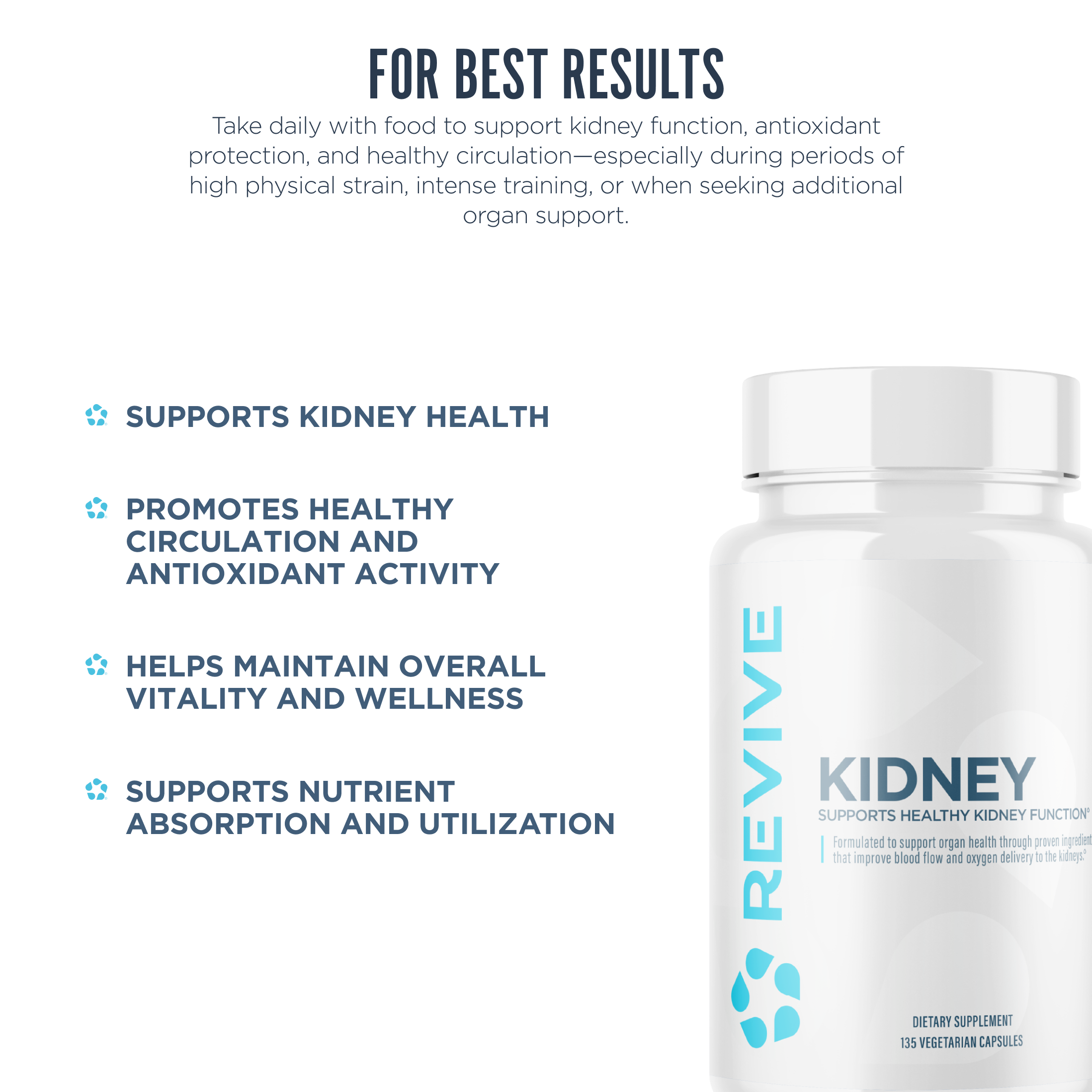 Kidney - Imagen 6