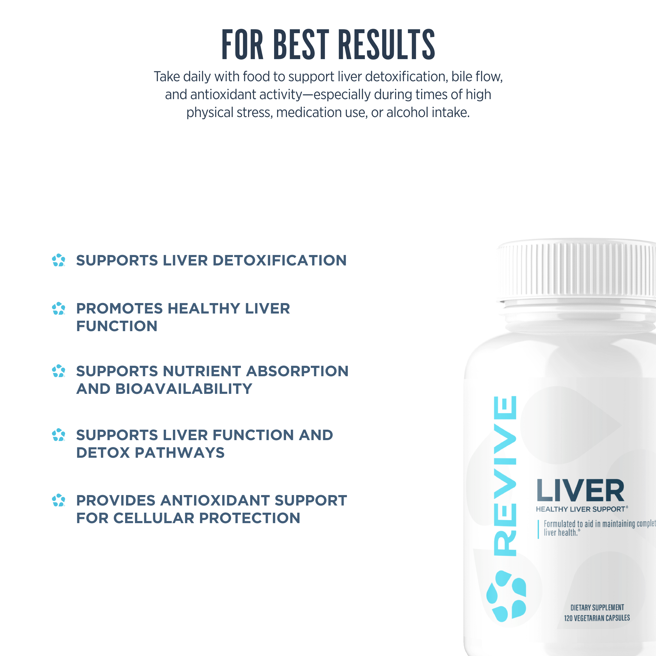 Liver - Imagen 7